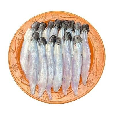 দেশি শিং মাছ